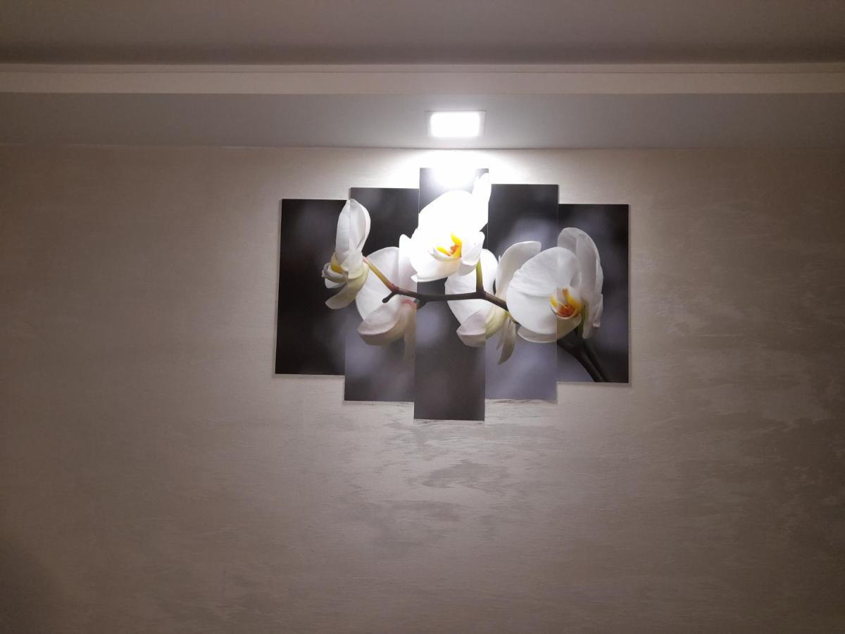 Daca 1 Apartman Belgrád Kültér fotó